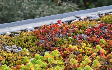 the cost of Smallways green roof installation